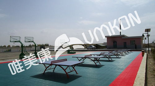 標(biāo)準(zhǔn)乒乓球場(chǎng)場(chǎng)地尺寸與戶外運(yùn)動(dòng)策劃指南