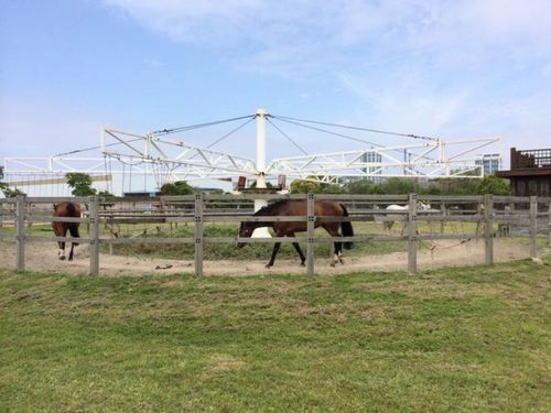 上海灣首屆戶(hù)外運(yùn)動(dòng)節(jié)暨2023海灣紅葉節(jié)周邊游玩攻略