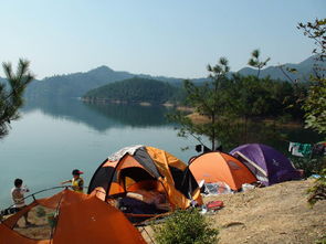 富陽同舟戶外運動策劃 開啟探索旅行新篇章